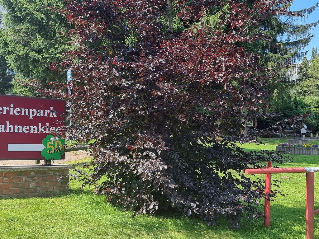 Ferienpark Hahnenklee