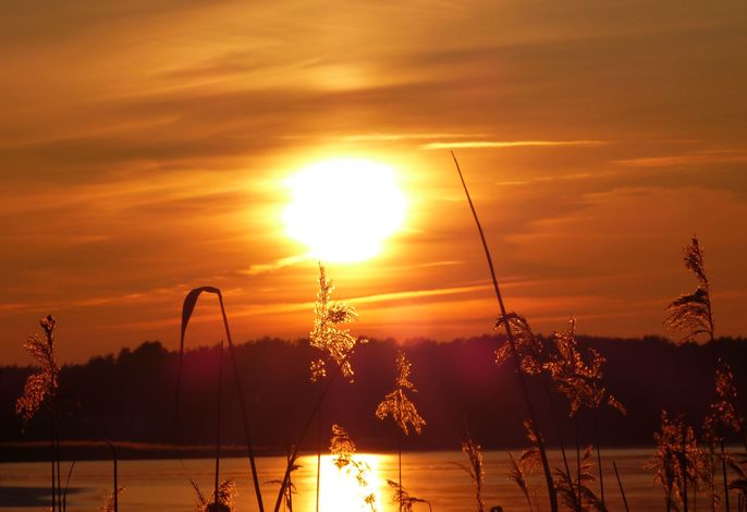 Abendstimmung an der Müritz