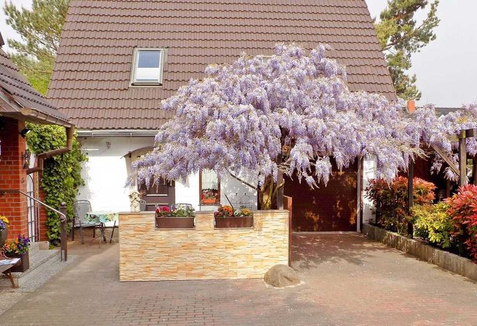 Ferienhaus Blauregen