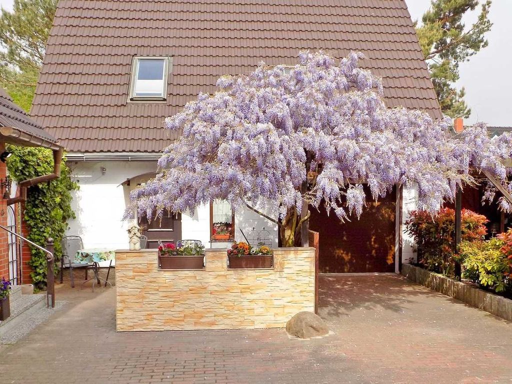 Eingang mit Terrasse