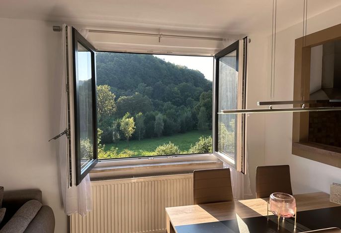 Ferienwohnung Böhrer im schönen Leinleitertal
