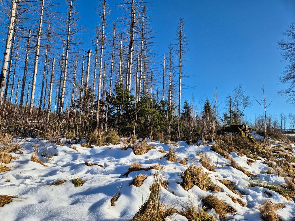 Winterzauber