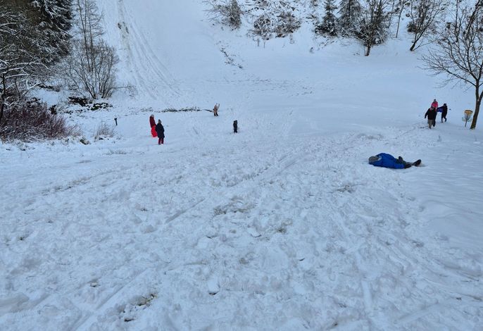 Bild 15