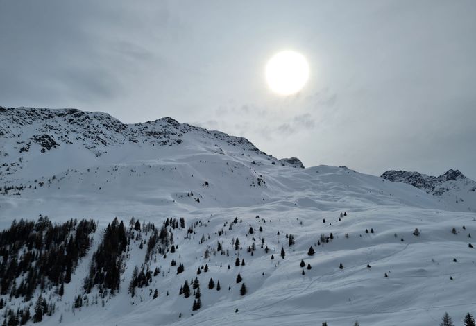 Bild 19