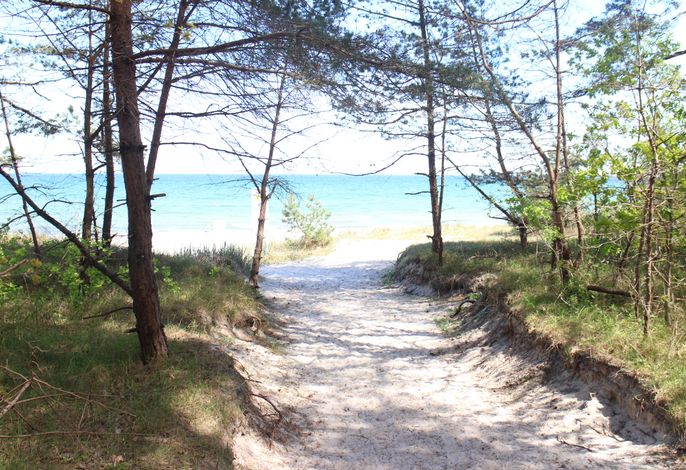 Bild 16