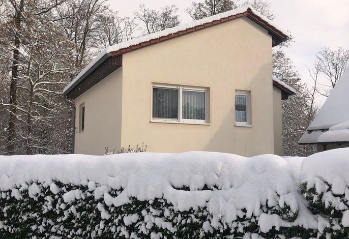 Ferienhaus Waldblick