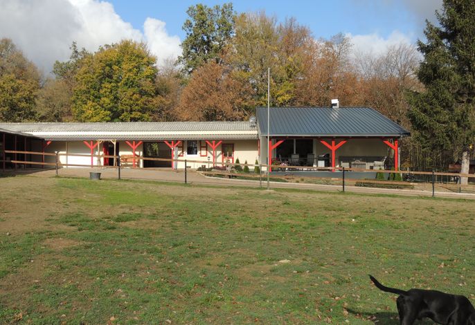 Bild 14