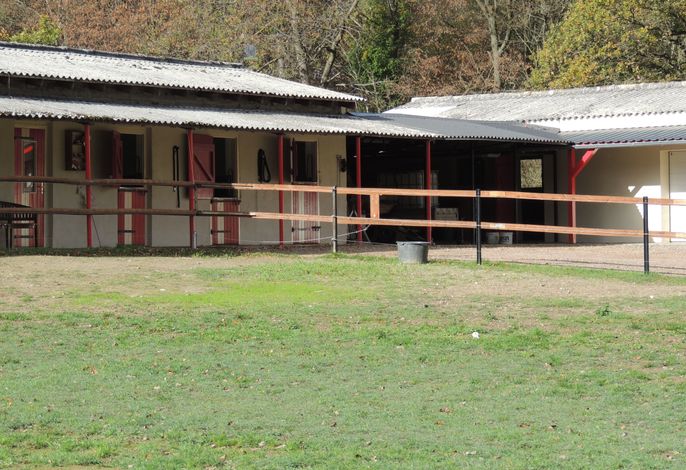 Bild 15