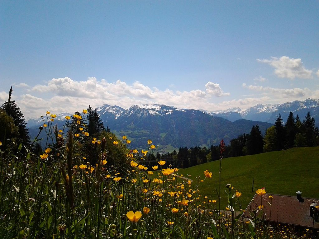 Hausberg Brüggelekopf Aussicht in die Berge des Bregenzerwaldes