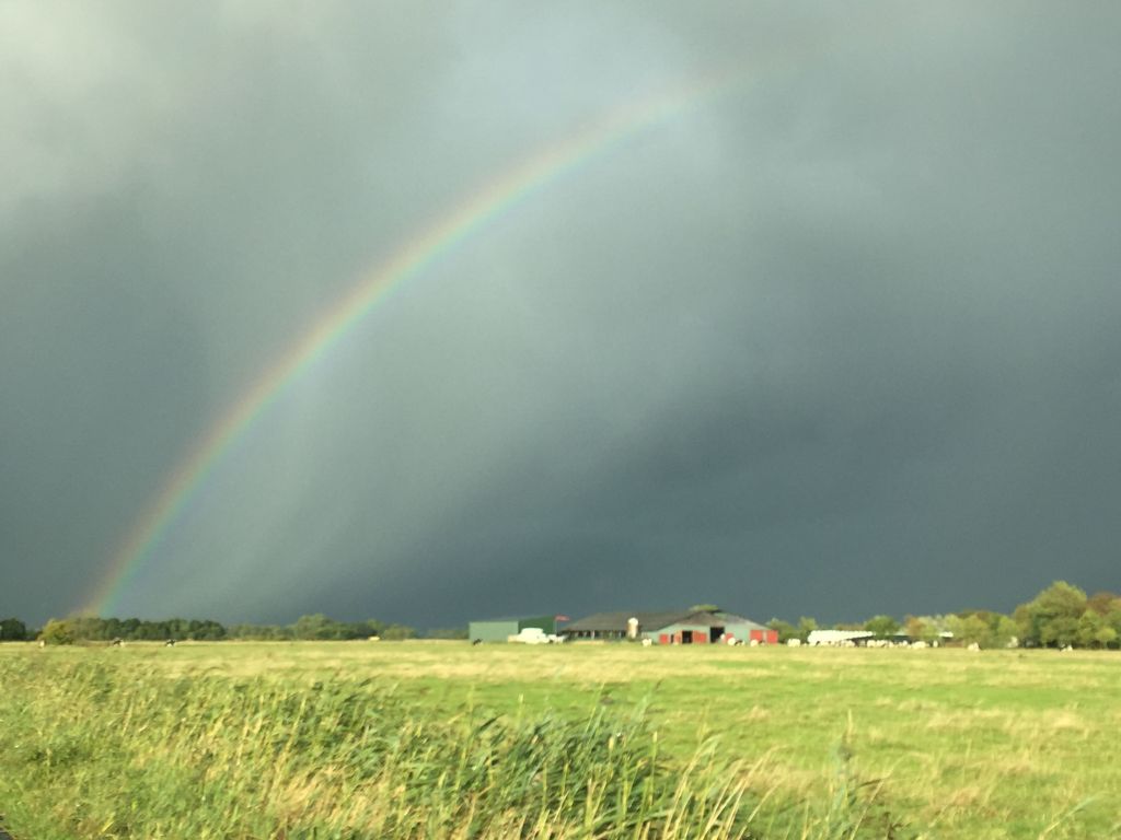 Regenbogen