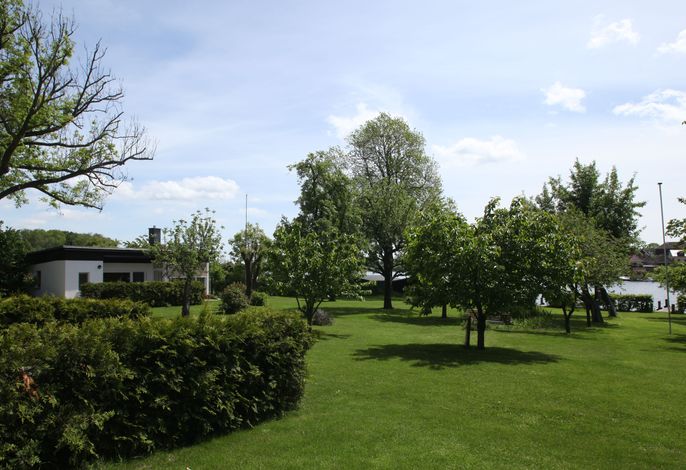 Bild 12