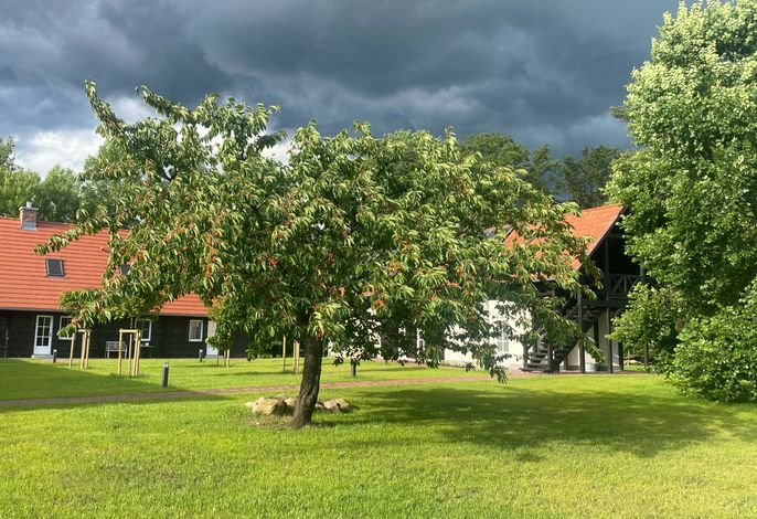 Bild Fontanehof