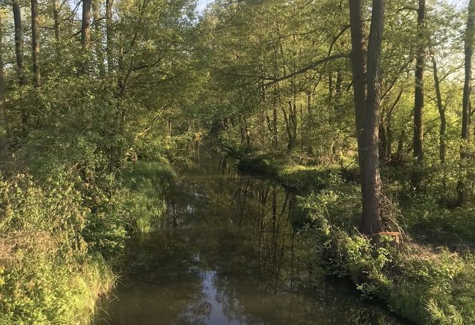 Ferienwohnung auf dem Gemüsehof an der Spree