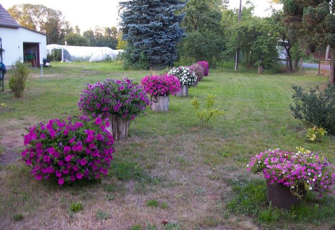 Bild 19