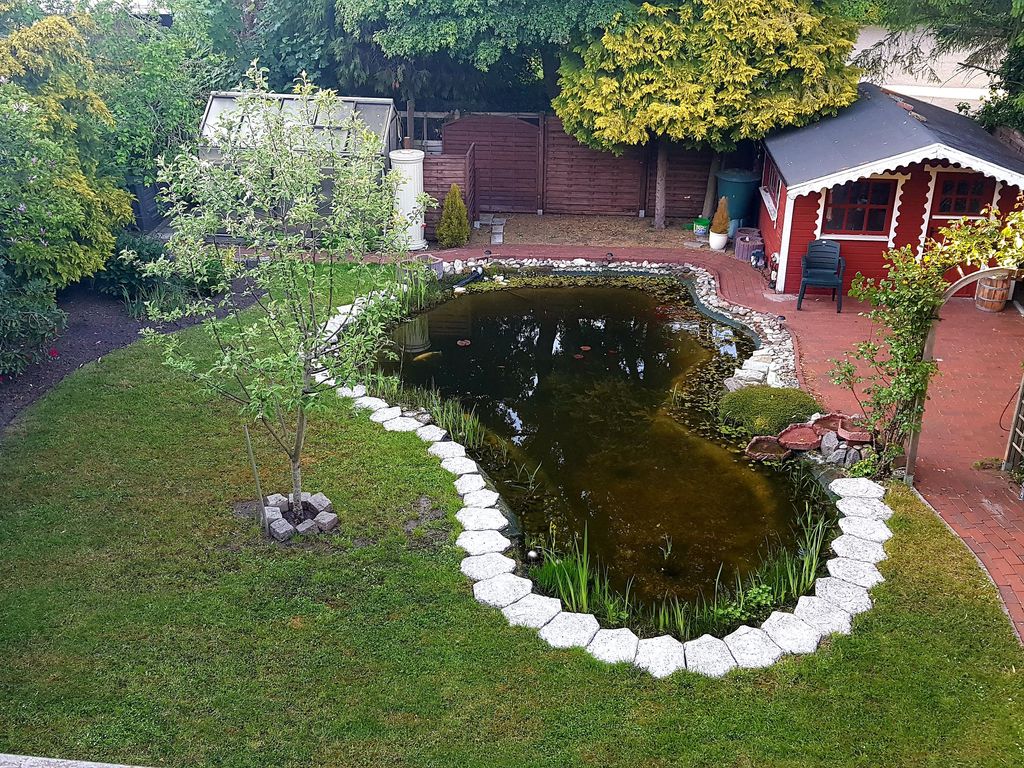 Aussicht auf den Garten