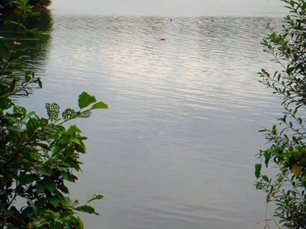 Badesee Tannenhausen