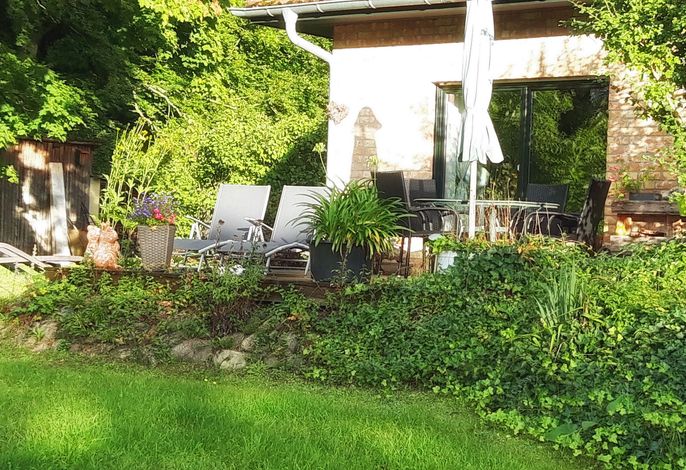 Am Mischwald in der Nossentiner-Schwinzer Heide