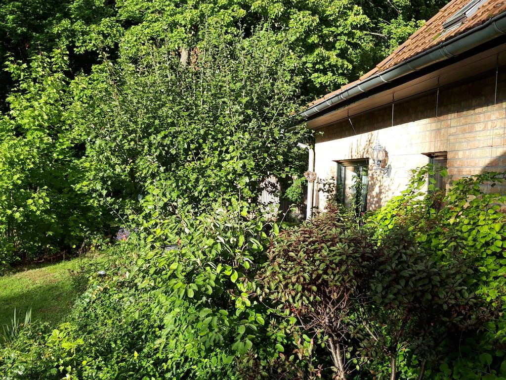 Blick vom Garten