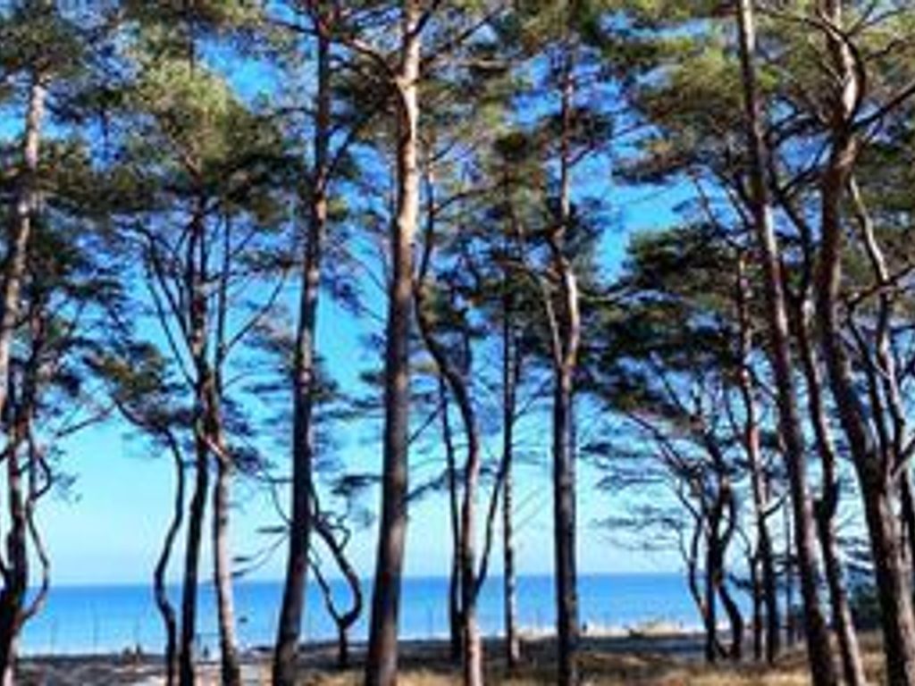Strandblick