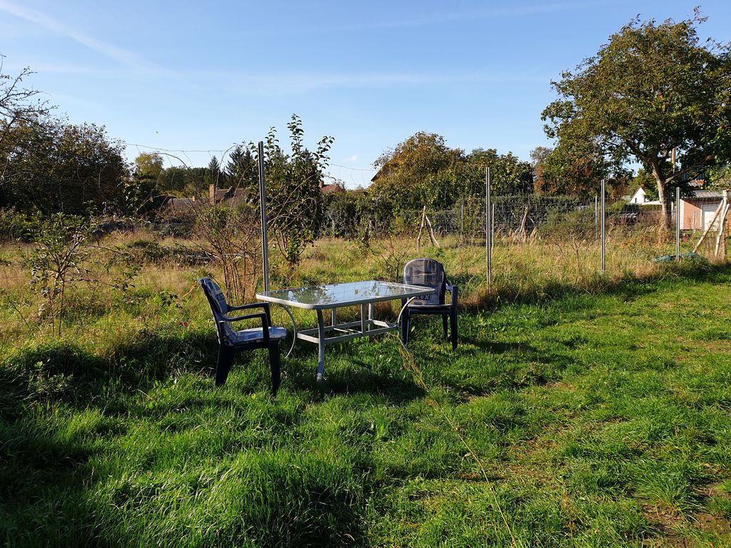 Blick in den Garten mit Sitzgelegenheit