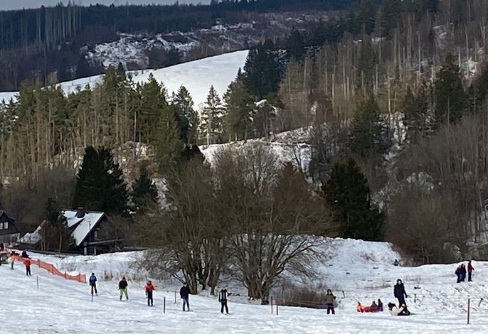 Bild 15