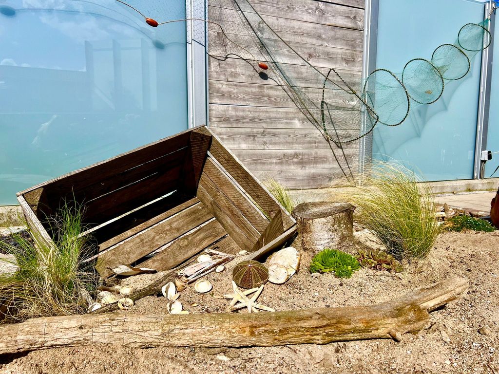 Freie Sicht - Haus am Wattenmeer