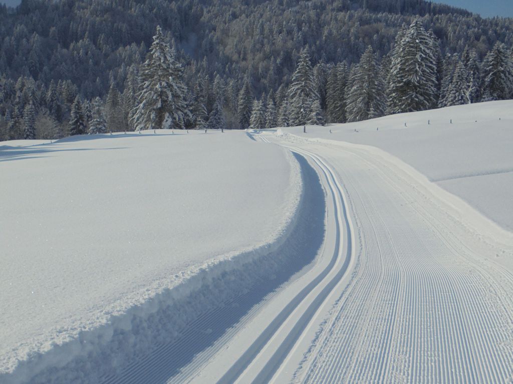 Loipe und Winterwanderweg