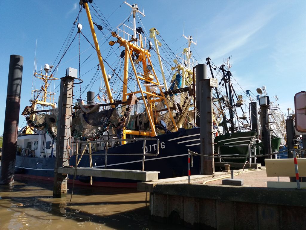 Ditzum - Fischerdorf mit aktiver Fischkutterflotte