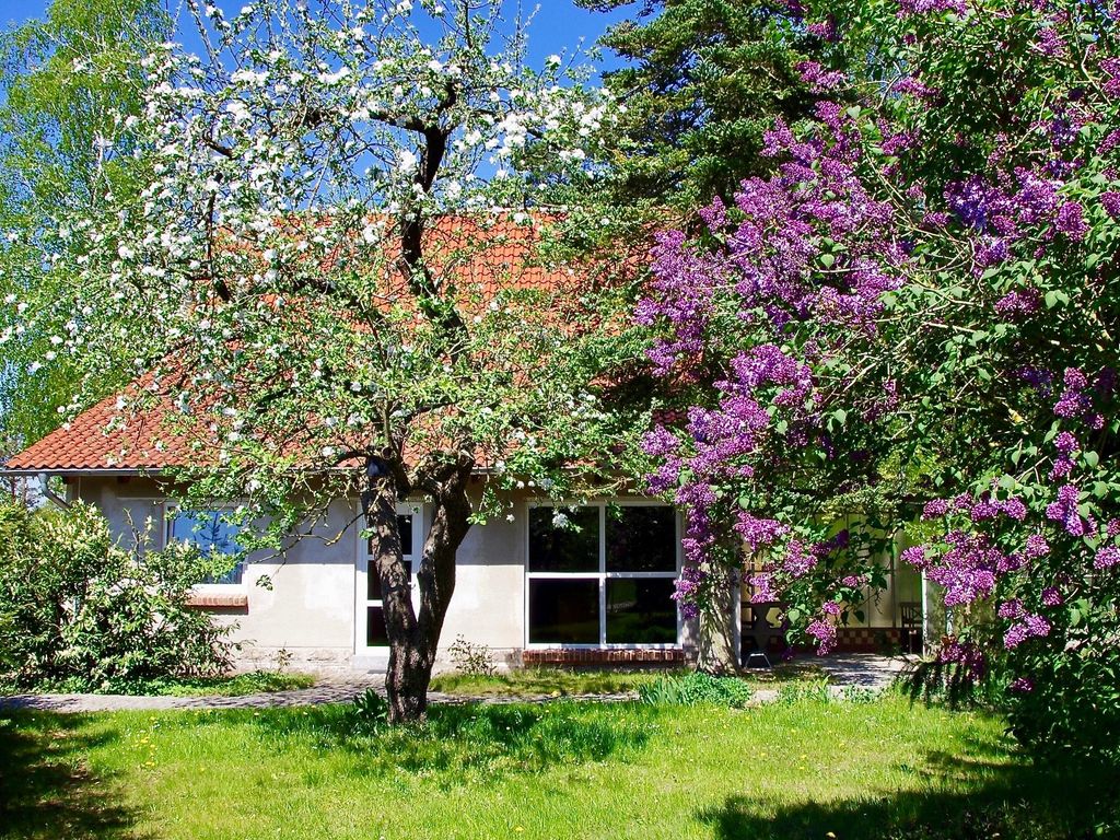 Ferienhaus Am Wald in Basedow