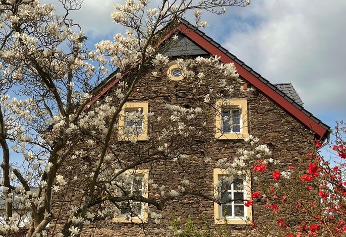 Moselbleibe II Altes Forsthaus