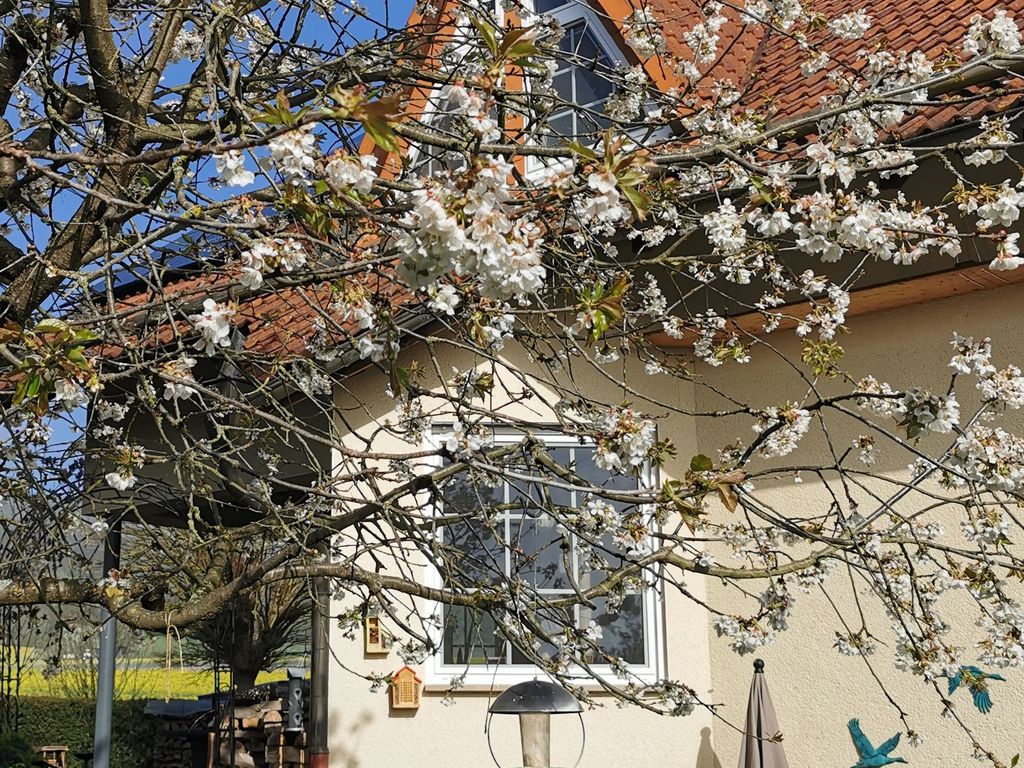 Ferienwohnung Auszeit am Nationalpark