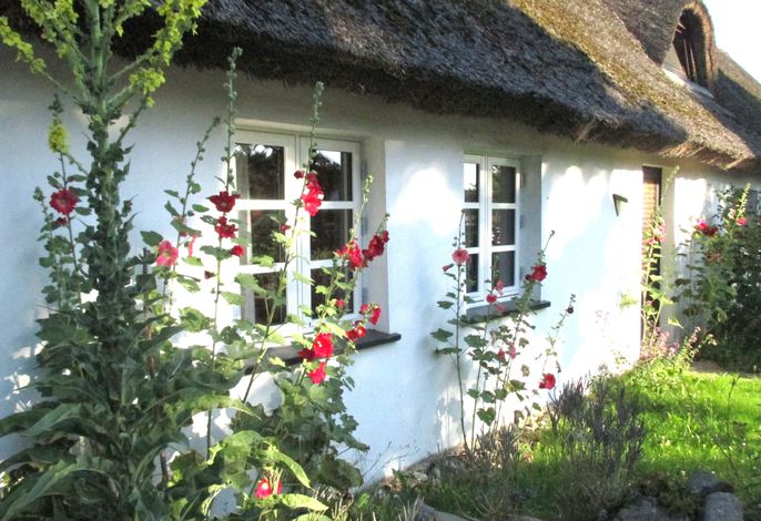 Ferienwohnung im alten Reetdachhaus