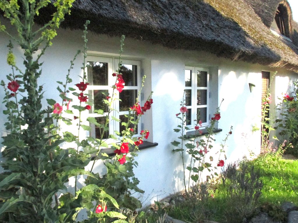 Ferienwohnung im alten Reetdachhaus