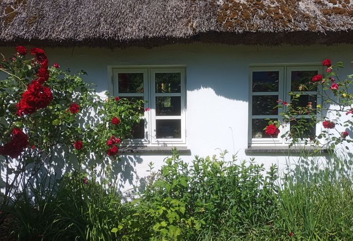 Photo Ferienwohnung im alten Reetdachhaus 3
