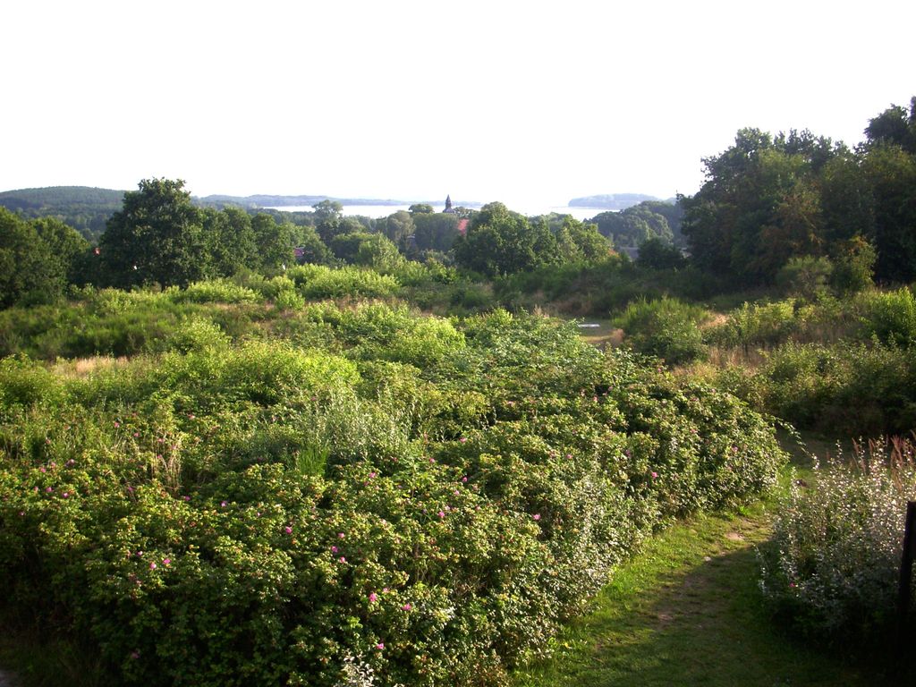 Ausblick