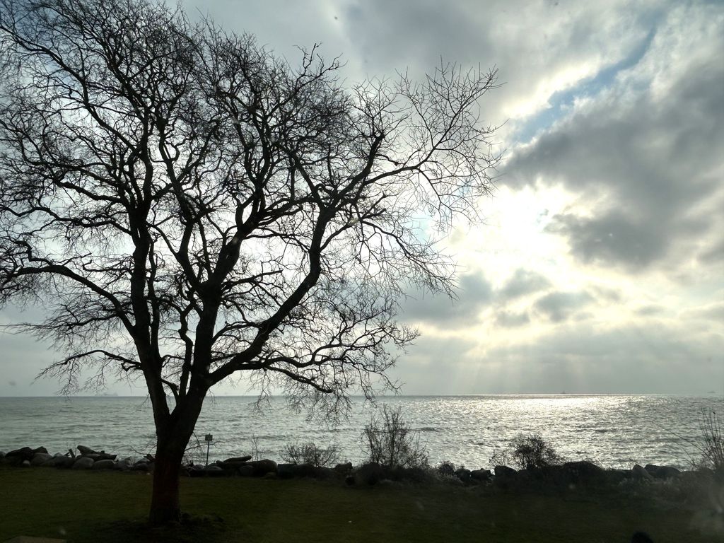 Ostseeresidenz Sassnitz – Wohnbereich mit bodentiefen Fenstern und Meerblick