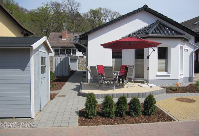 Seepferdchen 1