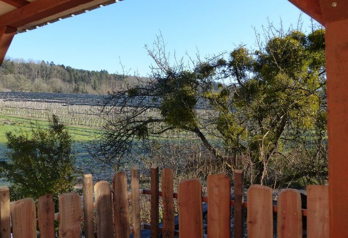 Bild 8