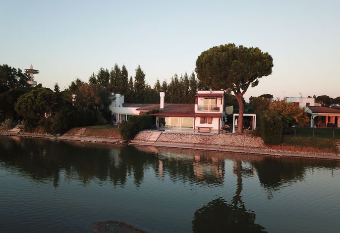 Aurelia