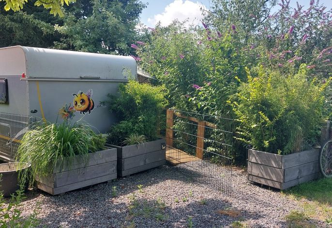 Tiny House
