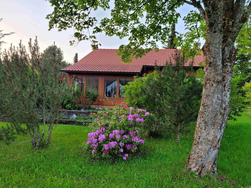 Ferienhaus Rehpfad im Feriendorf Reichenbach (20)