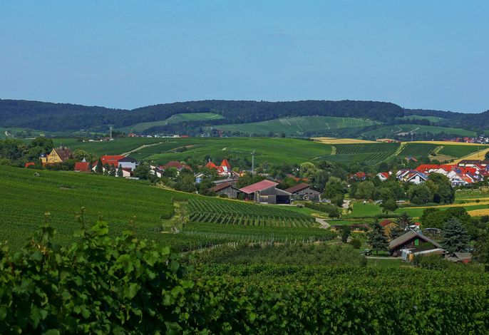 Bild 13