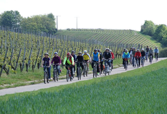 Bild 15