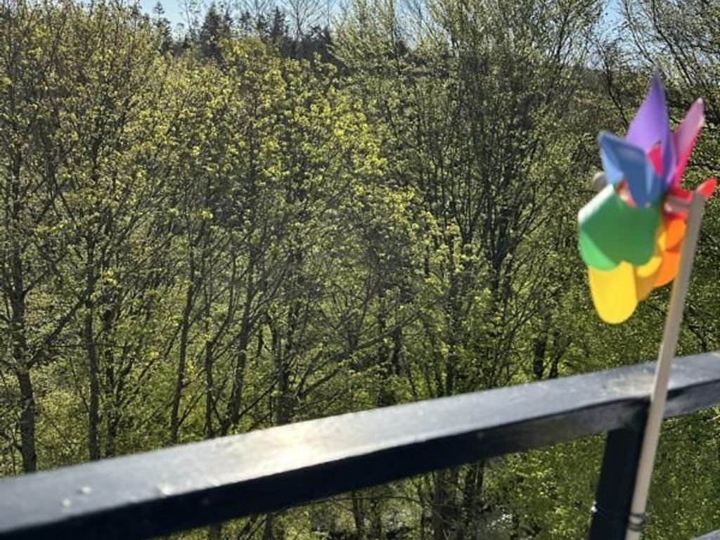 Ausblick Balkon