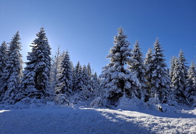 Bild 27