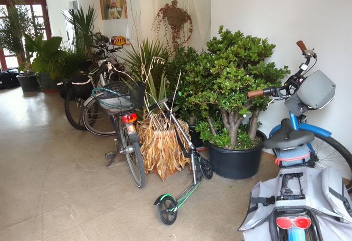 Bild 8