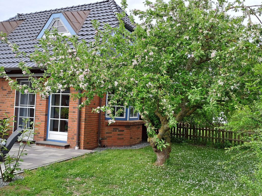 Garten Baum