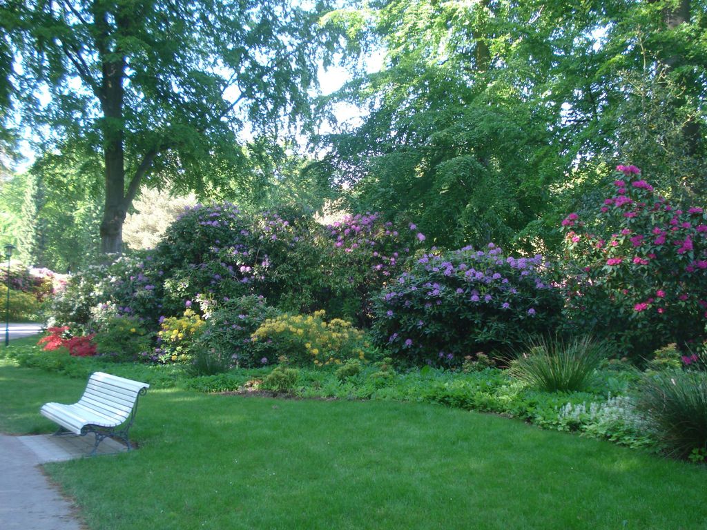 Rhododendronpark