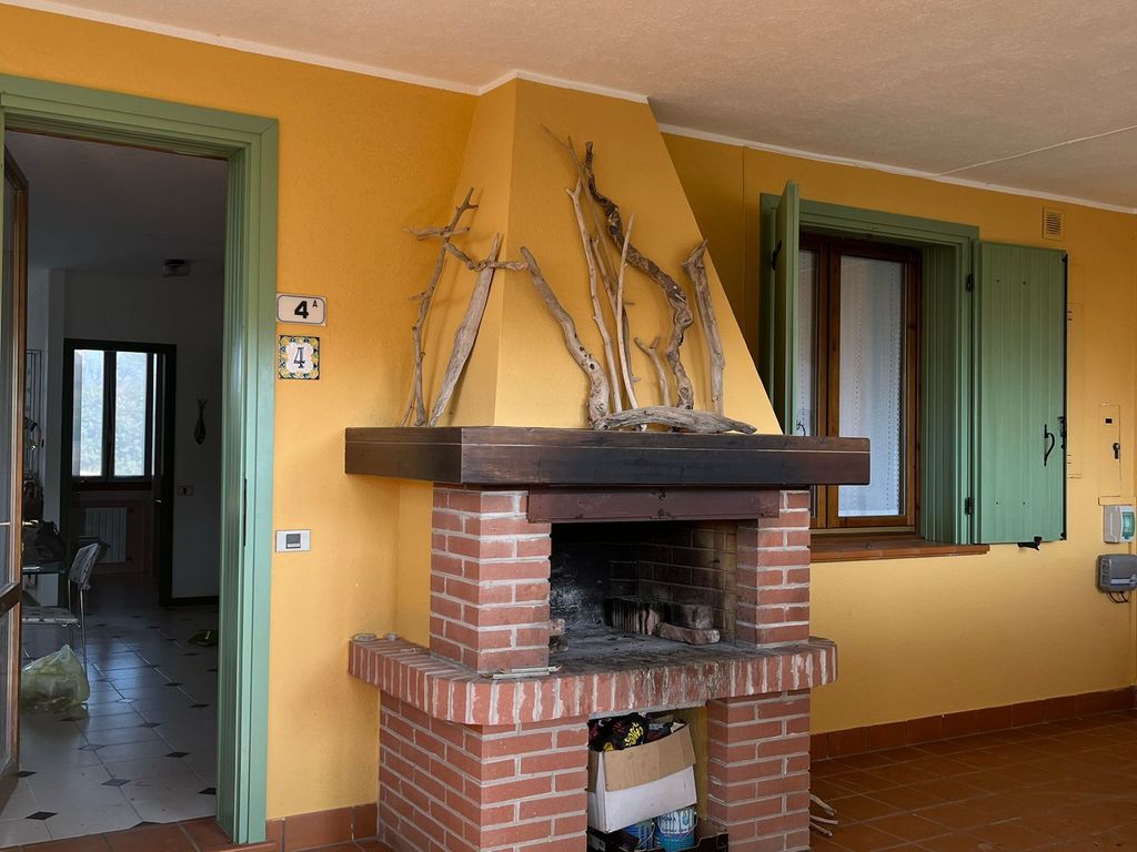 Frassino