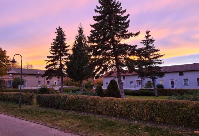 Bild 19
